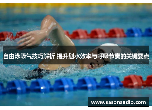 自由泳吸气技巧解析 提升划水效率与呼吸节奏的关键要点